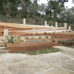 Epilogue (Sierra de Calderona / Spain 2025)